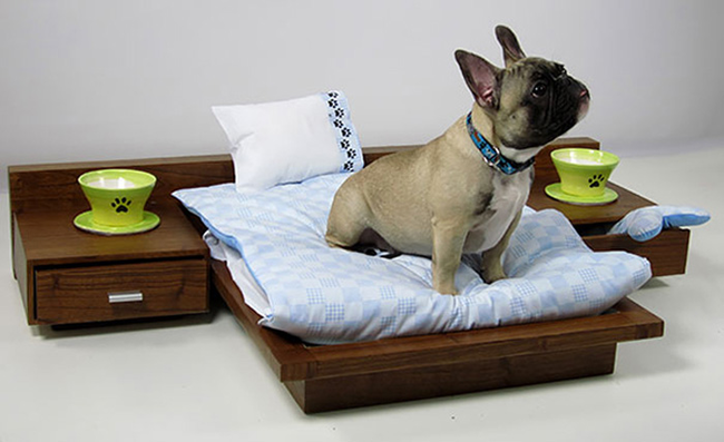 <a href="https://www.etsy.com/listing/103155561/luxury-pet-bed?utm_source=etsy_finds&amp;amp;amp;amp;amp;amp;amp;amp;amp;amp;amp;amp;amp;amp;amp;amp;amp;amp;amp;amp;amp;amp;amp;amp;amp;amp;amp;utm_medium=email&amp;amp;amp;amp;amp;amp;amp;amp;amp;amp;amp;amp;amp;amp;amp;amp;amp;amp;amp;amp;amp;amp;amp;amp;amp;amp;amp;utm_campaign=etsy_finds_073012_0&amp;amp;amp;amp;amp;amp;amp;amp;amp;amp;amp;amp;amp;amp;amp;amp;amp;amp;amp;amp;amp;amp;amp;amp;amp;amp;amp;euid=82RKeJPeQHxakRabxL1AllLhqTvg" target="_blank">Luxury Dog Bed</a>