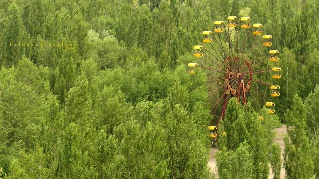 The ferris wheel from the amusement park, which was completed shortly before the disaster, and never used.