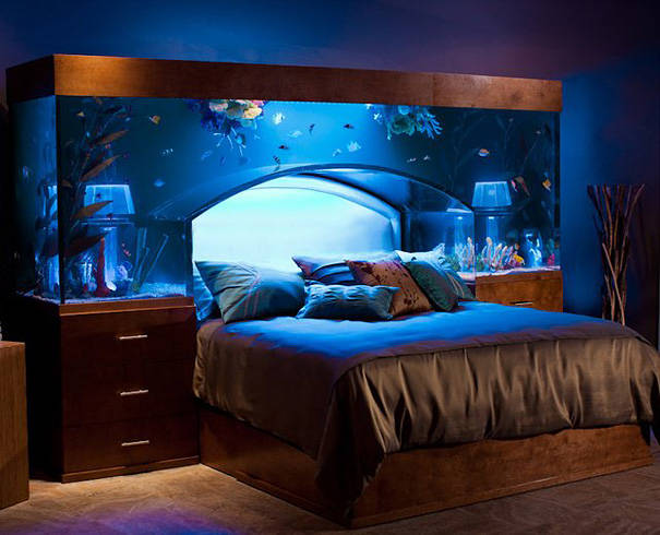 An aquarium bed