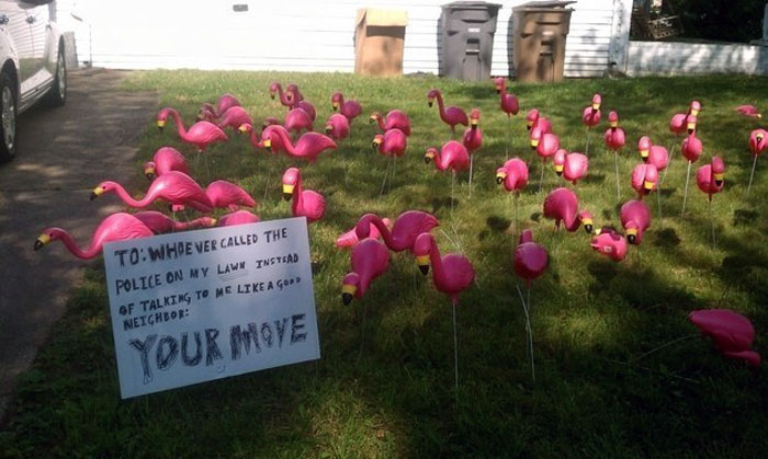 10) Here's a fun fact, the official city bird of Madison, Wisconsin is the plastic flamingo lawn ornament.