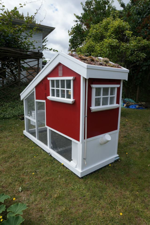 2.) That's one chicken coop you certainly won't want to fly from.