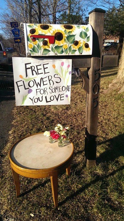 2. Can't afford flowers for your wife? No more excuses.