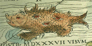 1539: Olaus Magnus claimed a Sea Swine lurked in the North Sea above Germany. The monster had sharp tusks jetting out of its hog head, dragon's feet, and several eyes scattered all over its body.