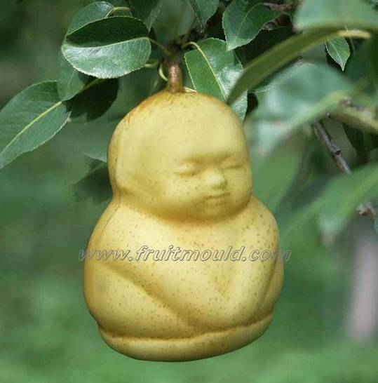 15.) Buddha shaped pears.