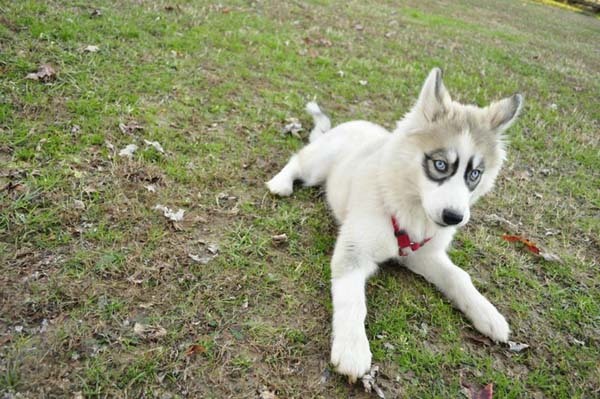 Those eyes can see into my soul. Wow.