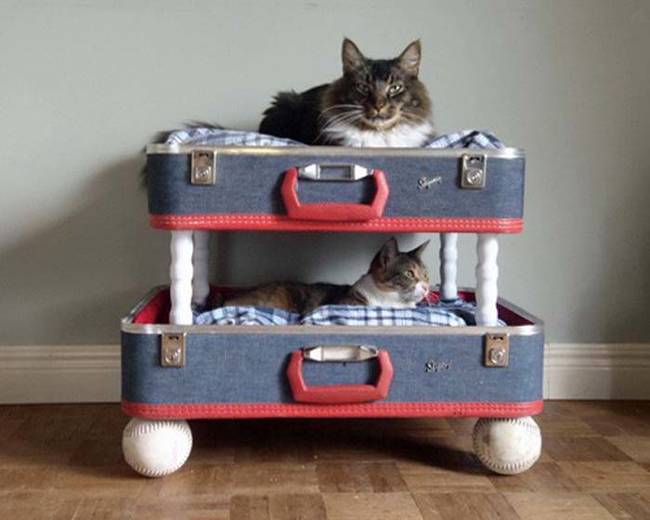 Don't stop at one suitcase...double up for kitty bunk beds!