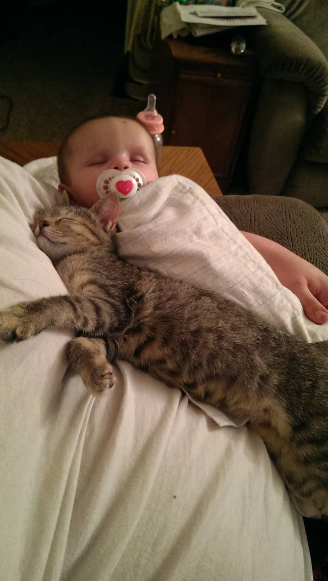 "If she gets nap time snuggles, I get nap time snuggles, too!"