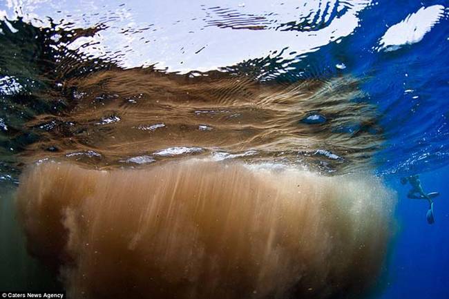 "I had poop in my eyes, mouth, wetsuit, everywhere and I was soaked in it from head to toe. But, after leaving the cloud, it quickly washed away, and didn't leave a smell on us," said Wilk. "I did take an extra long shower once I returned to shore later that day, just in case."