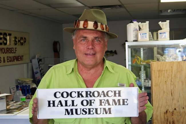 6.) The Cockroach Museum.