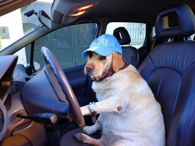 7.) Driving to go fetch the kids from swimming lessons.