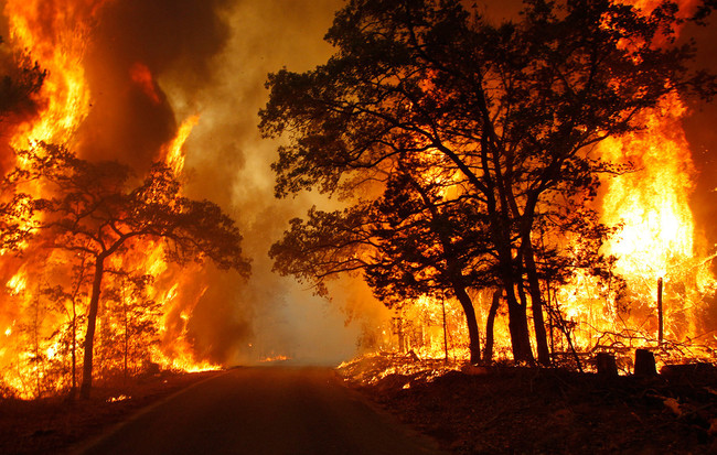 1.) Destruction in Texas.