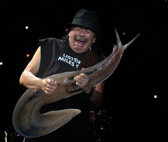 6.) Carlos Santana