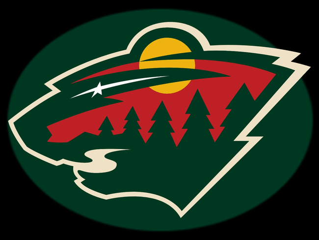 24.) The Minnesota Wild is another example of a team trying to make an abstract word a logo and boy that wilderness scene within an unidentifiable big cat's head really sums up the word "wild."