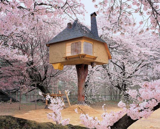 This one looks like it's out of a dream - it's the Japanese Teahouse by Terunobu Fujimori built for the Kiyoharu Shirakaba Museum