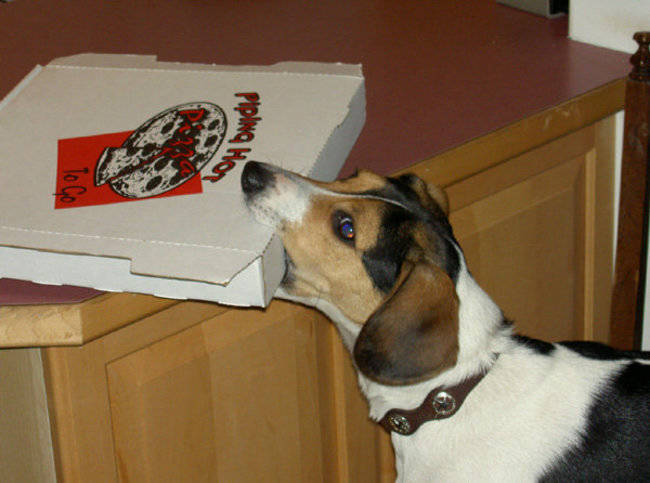 4.) "Oh? This is your pizza?"