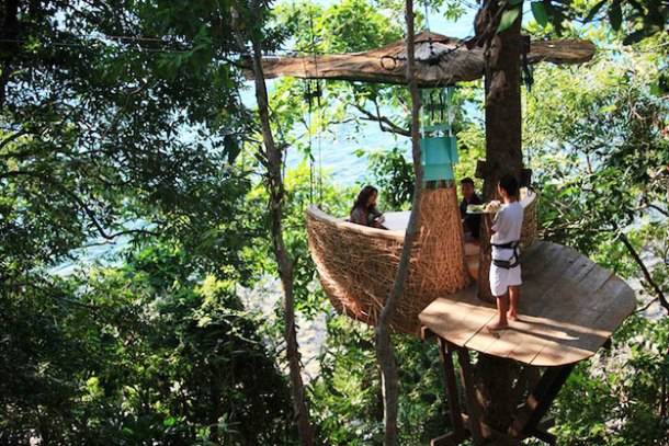 Eating in a tree.