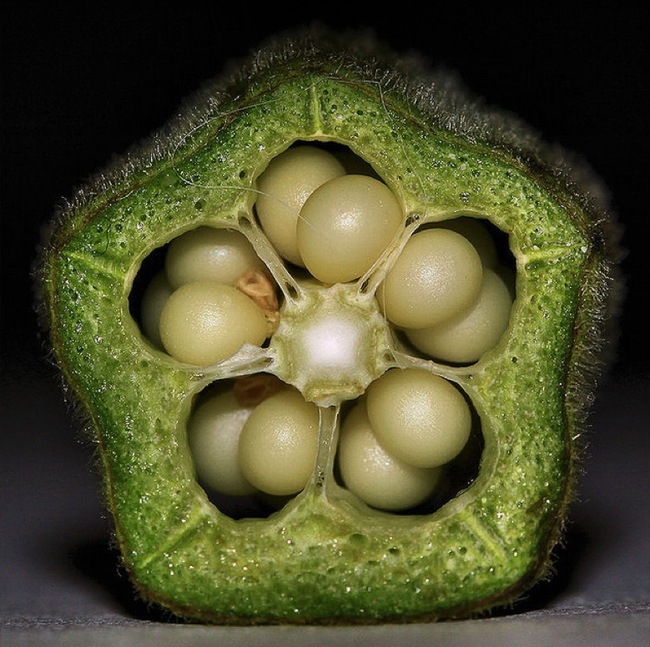 13.) Okra