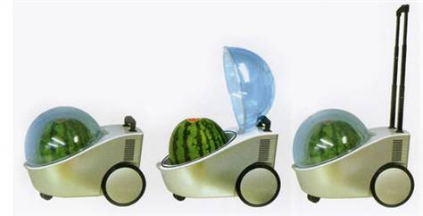 10.) Portable watermelon cooler