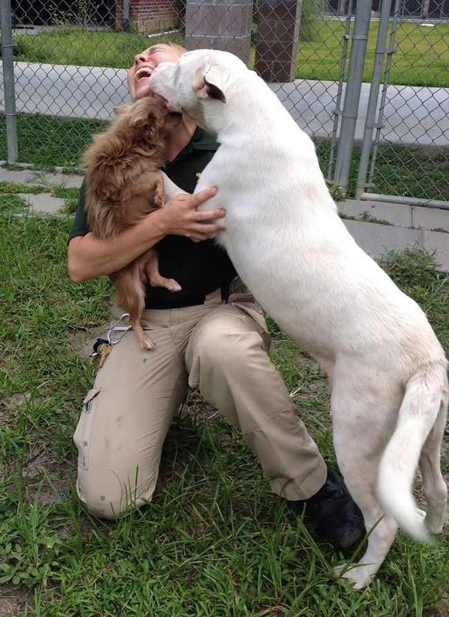 They've both been adopted together and will soon be heading to sunny Florida!