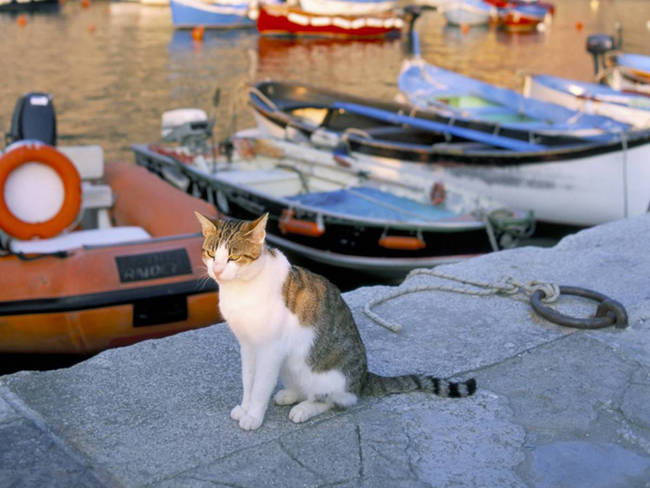 25.) Ready for a boat ride in Cinque Terre, Italy.