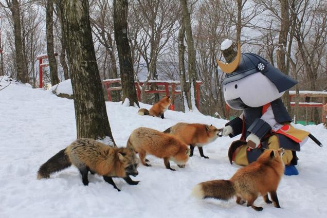 See? That one foxie is biting that silly soldier's fingers!