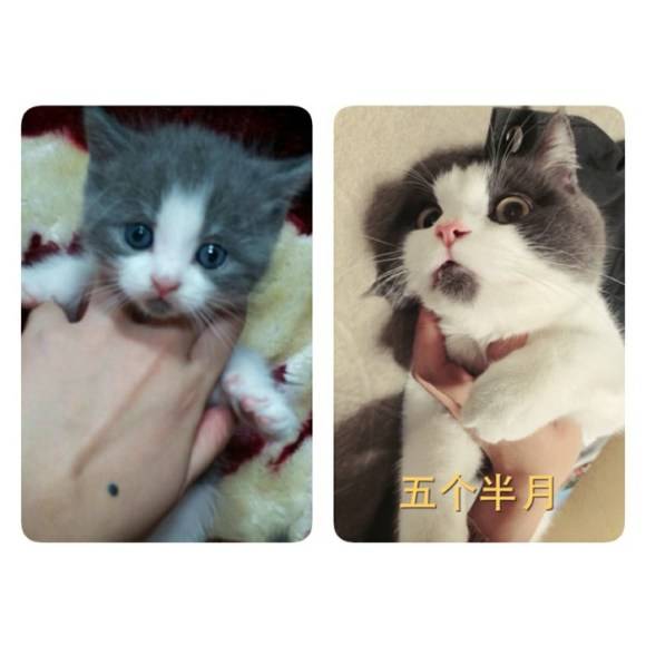 It gives his puuuurfect face the "it" factor needed to go viral on China's biggest social network.