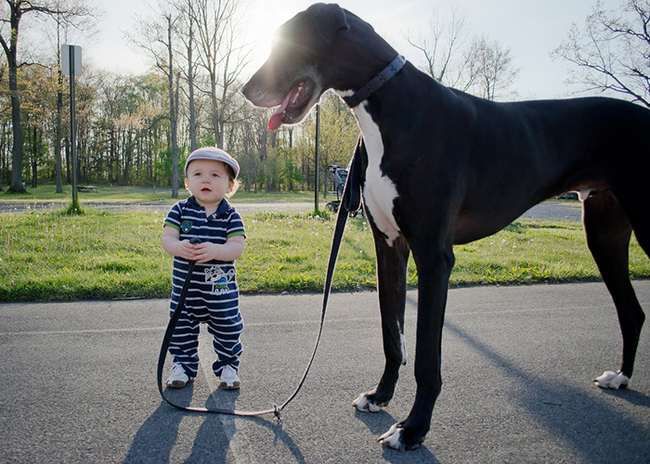 4.) That's one patient dog.