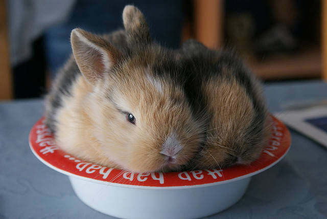 "Rest is way more important than keeping my eating area sanitary."