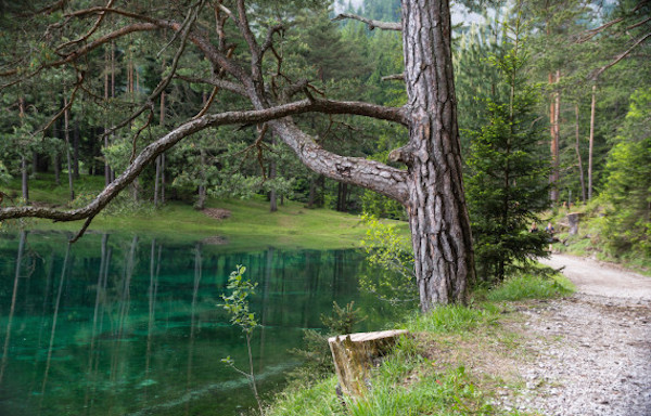 In the winter you'll find crisp, tranquil grasslands and  lake that is only about 3 to 6 feet deep.