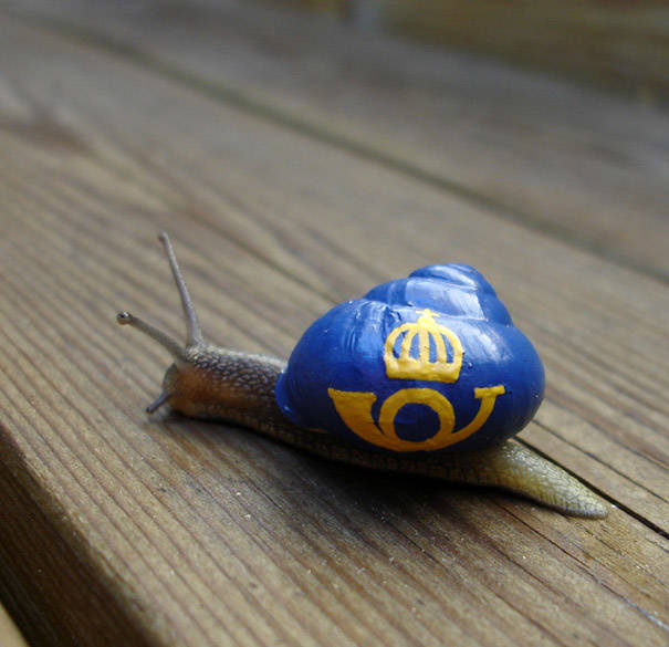 Swedish artist and snail enthusiast Stefan Siveraud has an incredibly steady hand, or maybe just a loyal snail following.