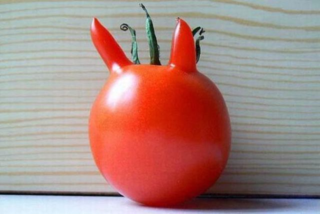 9. The devil is in the... tomato?