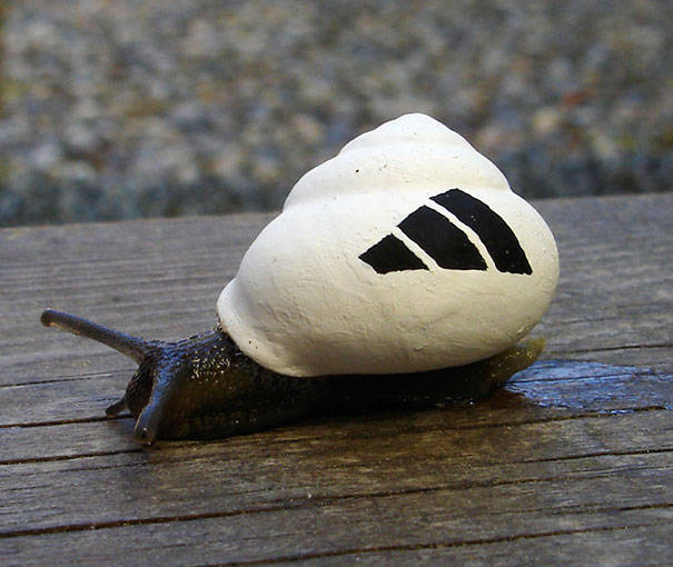 Here's a brand-loyal snail.