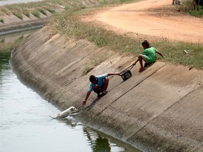 13.) Two boys used teamwork to rescue this puppy from a flood drain reservoir.