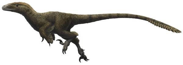 Utahraptor