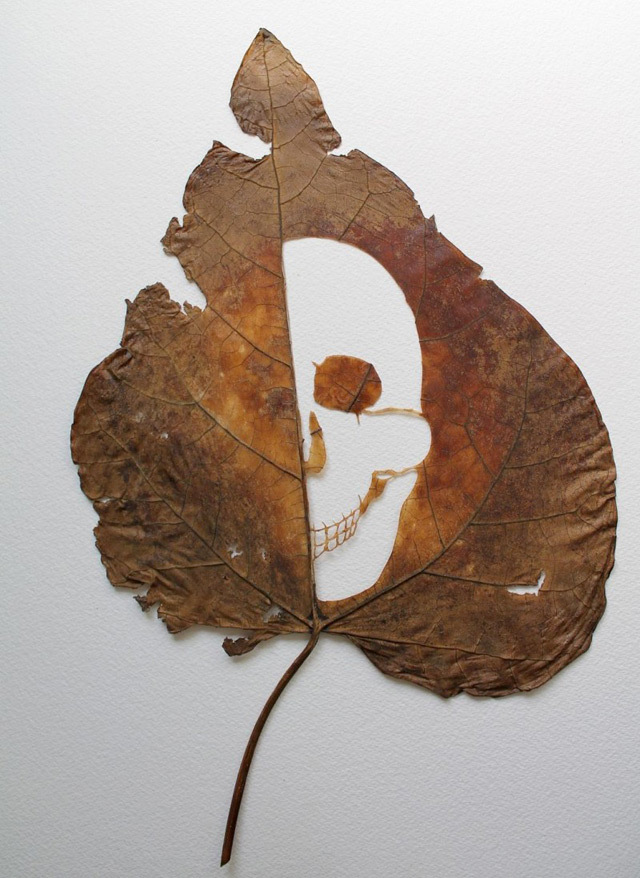 Working out of his home in Guadalajara, Lorenzo focuses primarily on cutting intricate illustrations from dried leaves.