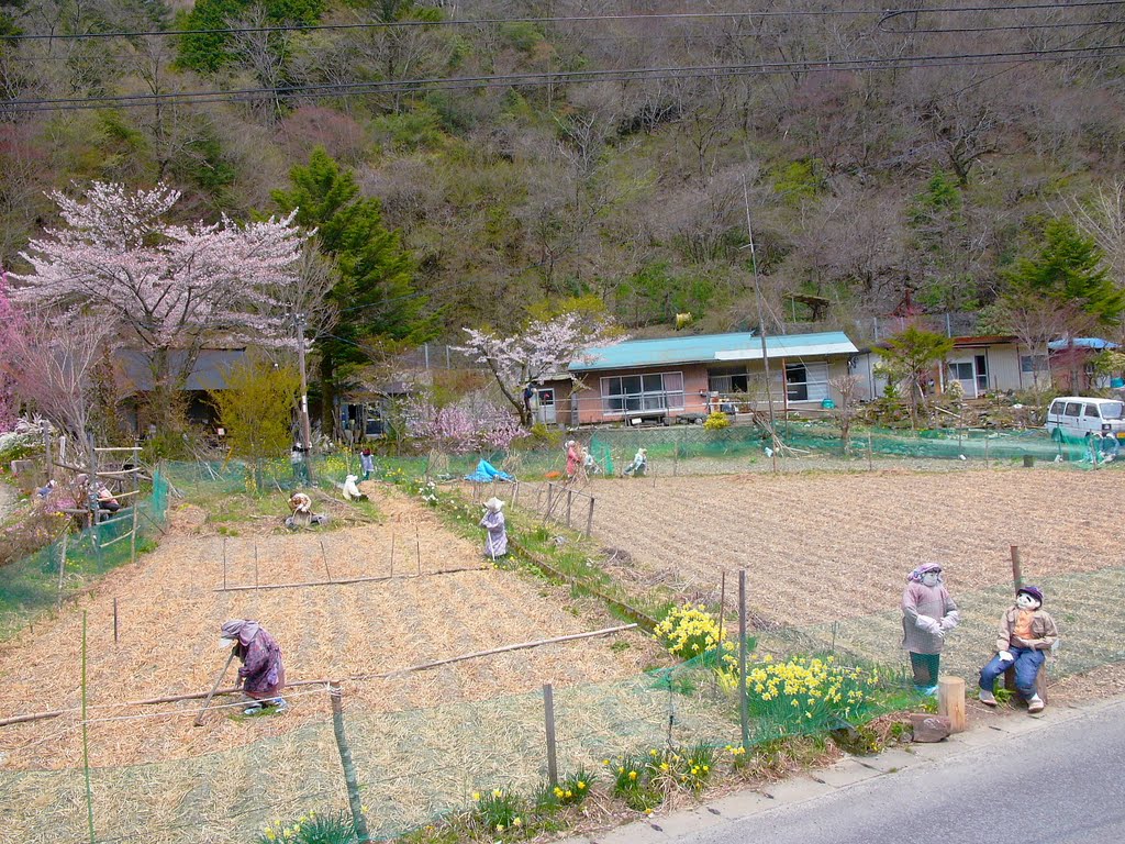 These dolls can be seen strewn across the village, on benches, in the street, outside her home, working in farms, and even lounging about the abandoned school compound.