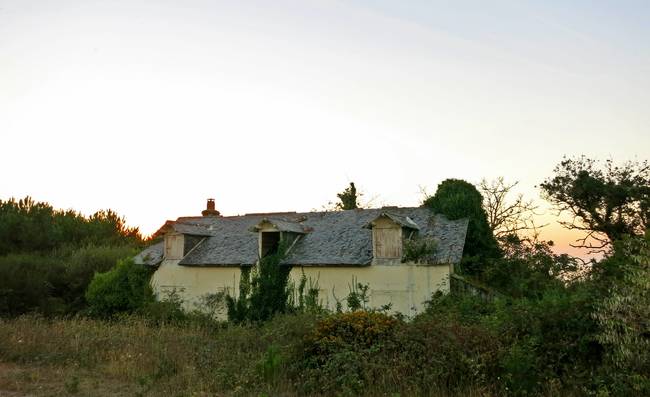 House being reclaimed by the surrounding forest.