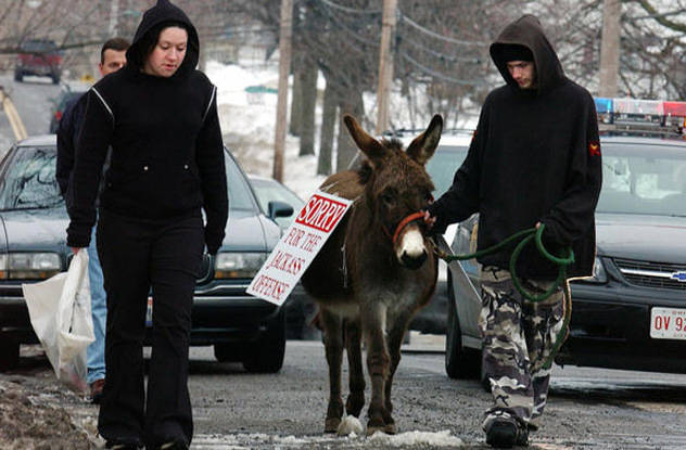 2.) Two teens who vandalized a nativity scene (specifically, a statue of baby Jesus) were sentenced to replace the statue and walk around with a donkey with a sign on it that read "Sorry for the jackass offense." Justice served.