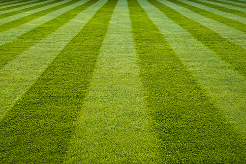 7.) Keep Your Lawn Kept