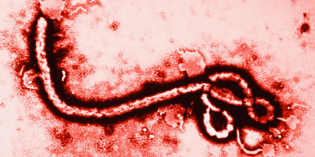 The Ebola outbreak is being used as a form of population control.