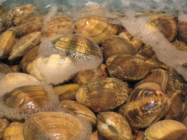 3.) Clams Stuffed with Cocaine