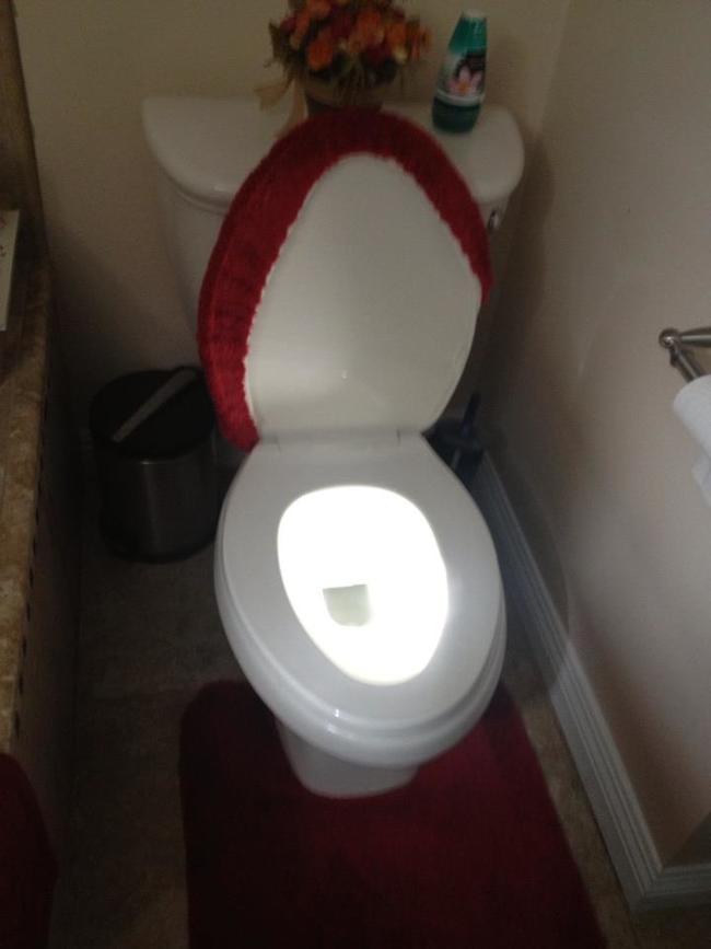 4. The sun is hitting the toilet so perfectly. It's like a treasure in Raiders of the Lost Ark.