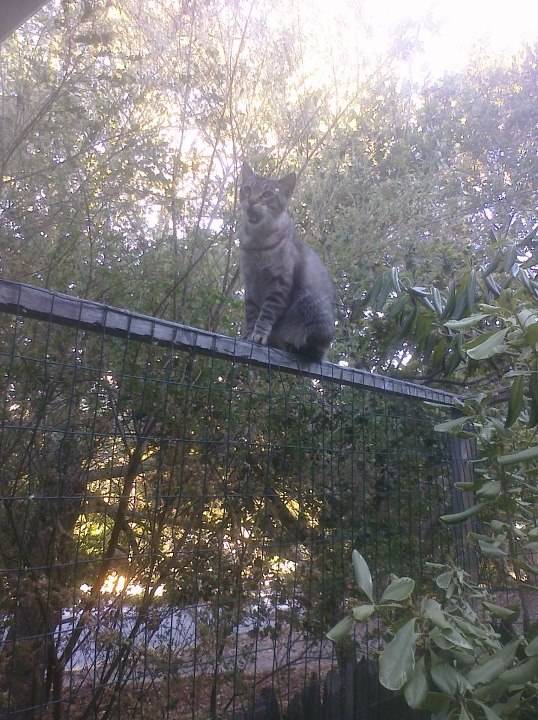 "YEP. It's confirmed. I'm afraid of heights! Get me down!"