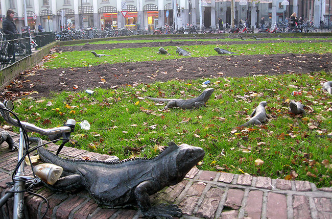 9.) Iguana Park (Amsterdam, The Netherlands)