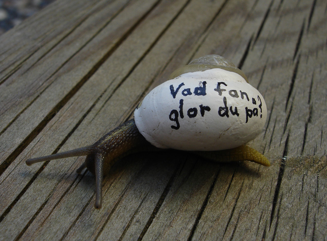 This sassy snail's shell reads "What that f*** are you looking at?" in Swedish.