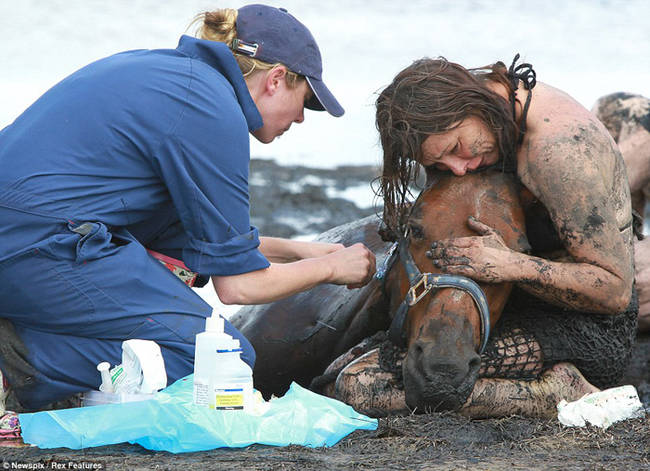 Astro was sedated so he wouldn't continue exhausting himself while they worked to free him.