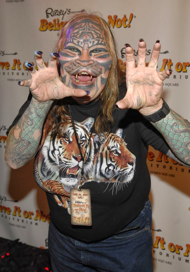 3.) Stalking Cat.