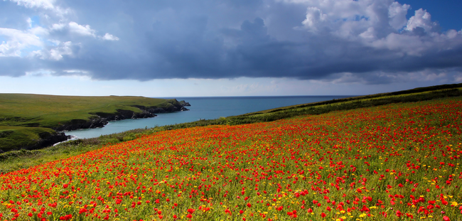 Cornwall, England