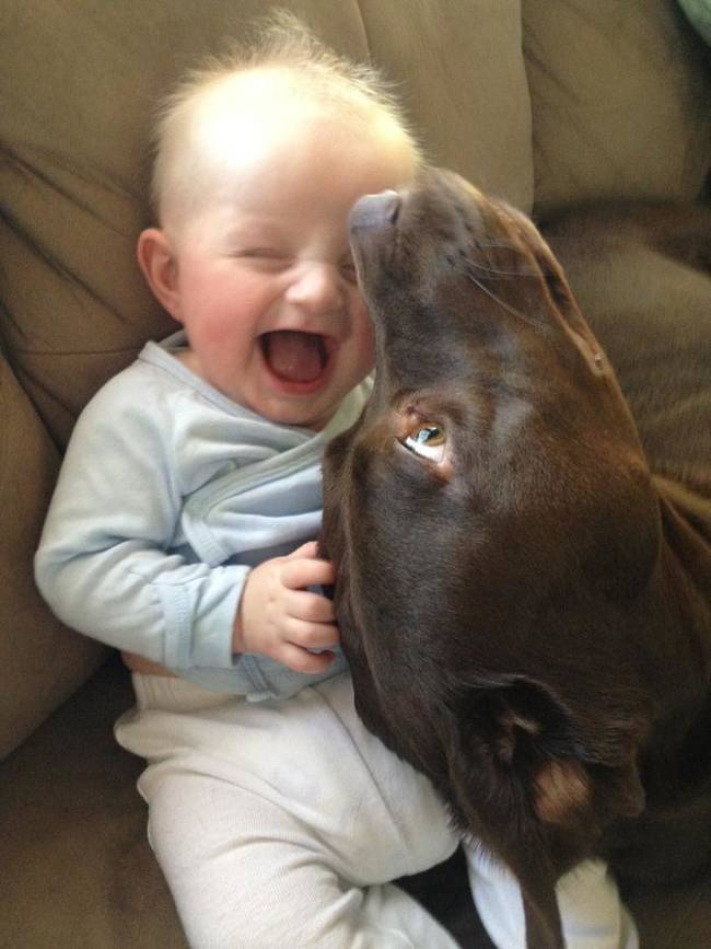 Wet nose + cute baby = Loads of laughs