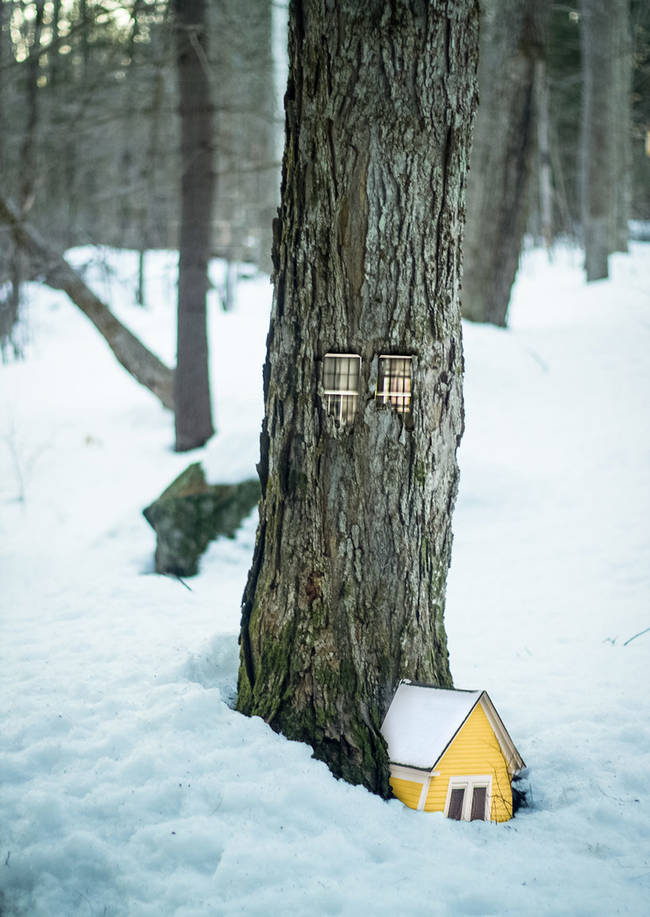 This house also includes a tiny traditional house.